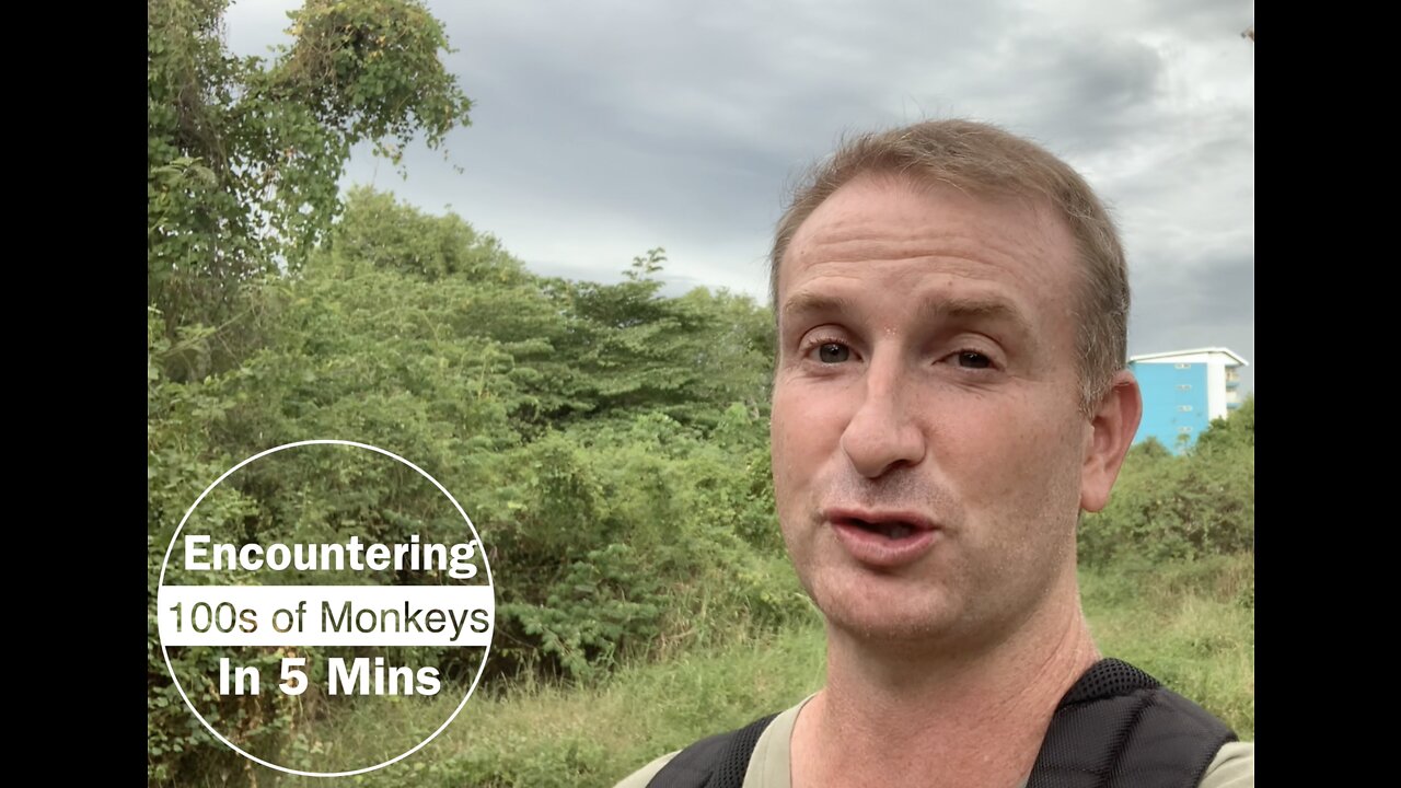 PART 1 - MONKEY MOUNTAIN EPIC HIKE TO THE TOP! 400 HUNGRY JUNGLE MONKEYS