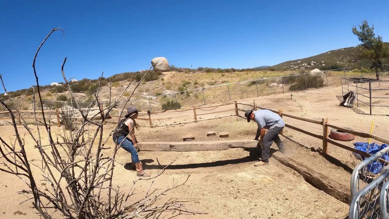 Feral Kittens - Mud Pit for Pigs - Grove Irrigation - Lots Going On - Beautiful Living Farmhouse