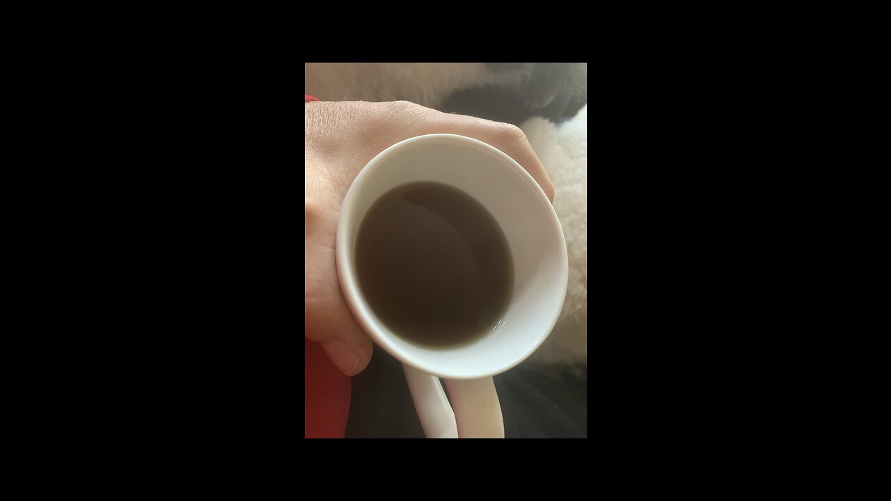 Yerba maté/ Moringa / b-3