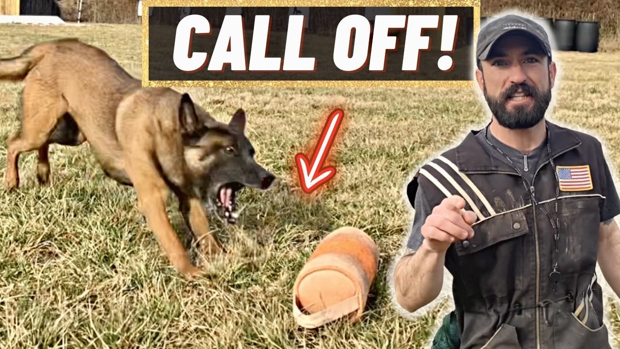 THIS Could SAVE YOUR DOG'S LIFE! THE CALL OFF!