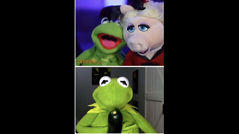 Real Kermit vs Imposter Part 2