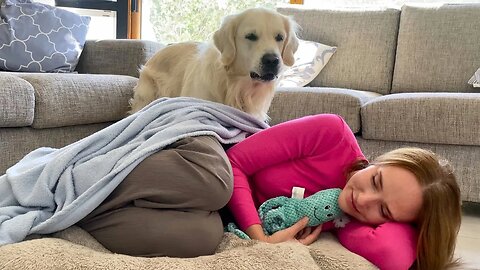 Stealing my dog's bed and sleeping in it.