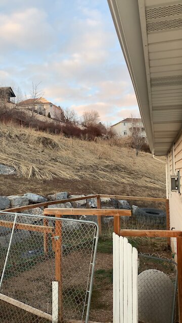 This playful deer has a case of the zoomies!