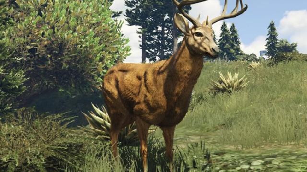 | Deer In Gta Five | Animals In Gta Five | Michael to Animal | Why Does Everyone Like Deer |