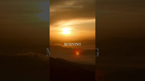 Morning sunrise moments #morning #sunrise #meditation