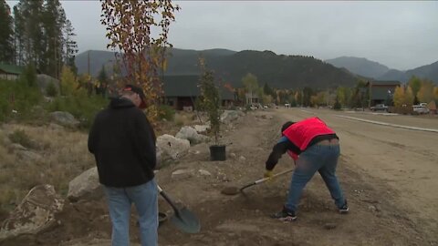 Grand Lake undergoes mini-makeover as students, 'guardians of wilderness' plant trees in burn scar