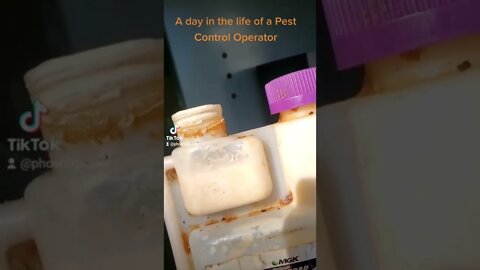 A day in the life of a Pest Control Operator 2 #whatbugsme | Phoenix Pest Control TN