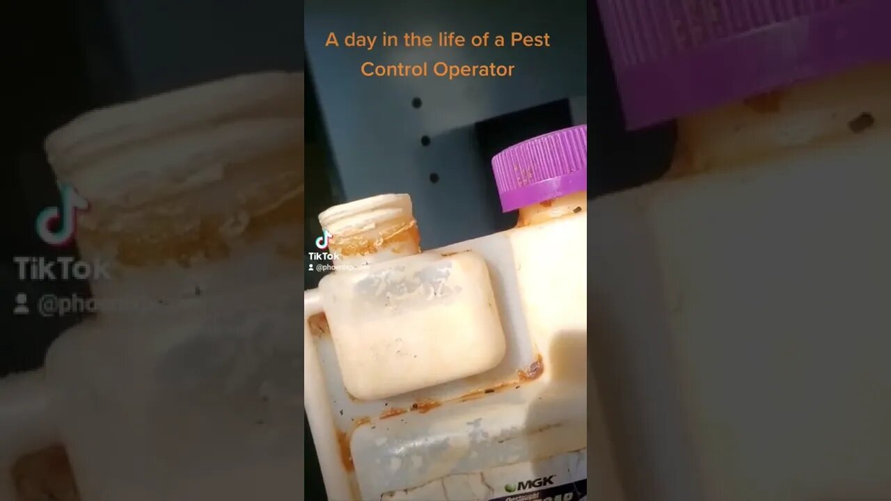 A day in the life of a Pest Control Operator 2 #whatbugsme | Phoenix Pest Control TN