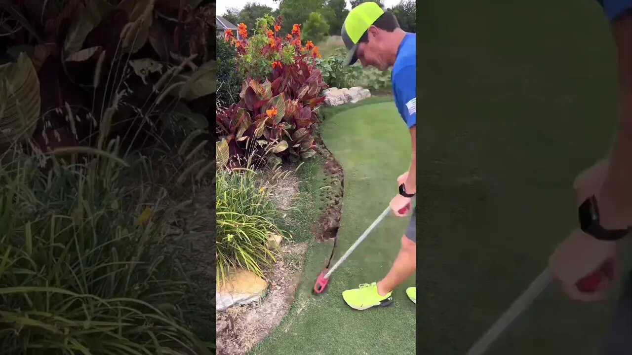Take grass from HERE, put it THERE