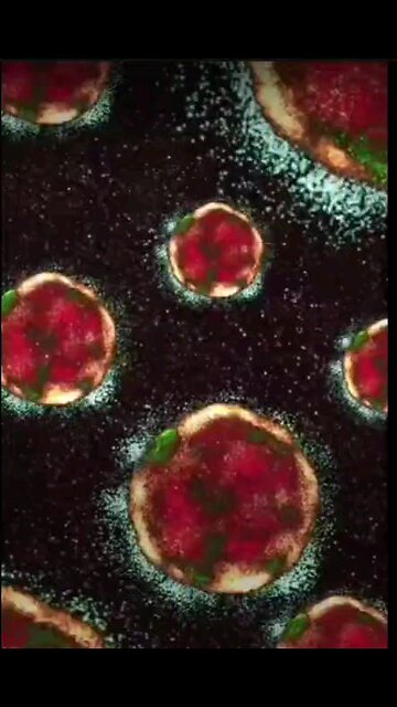 Cancer Treatment Natural