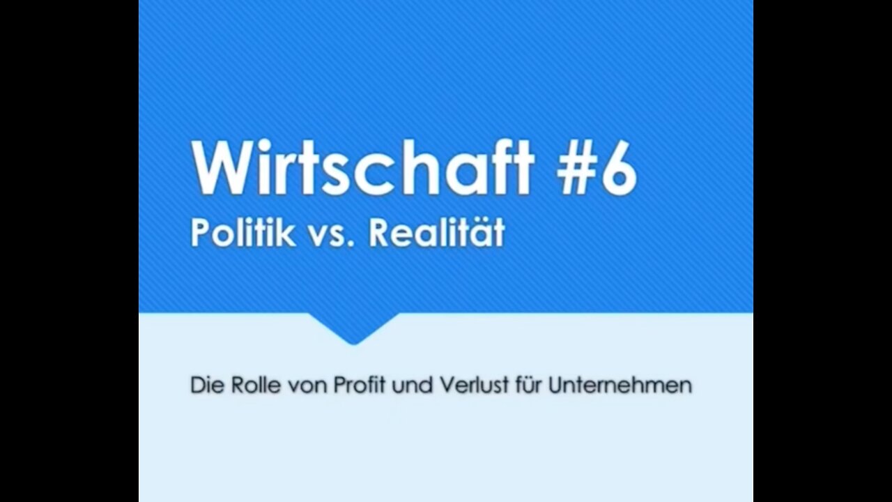 Profit, Verlust und Effizienz bei Unternehmen | Wirtschaft #6 | Privatisierte Philosophie