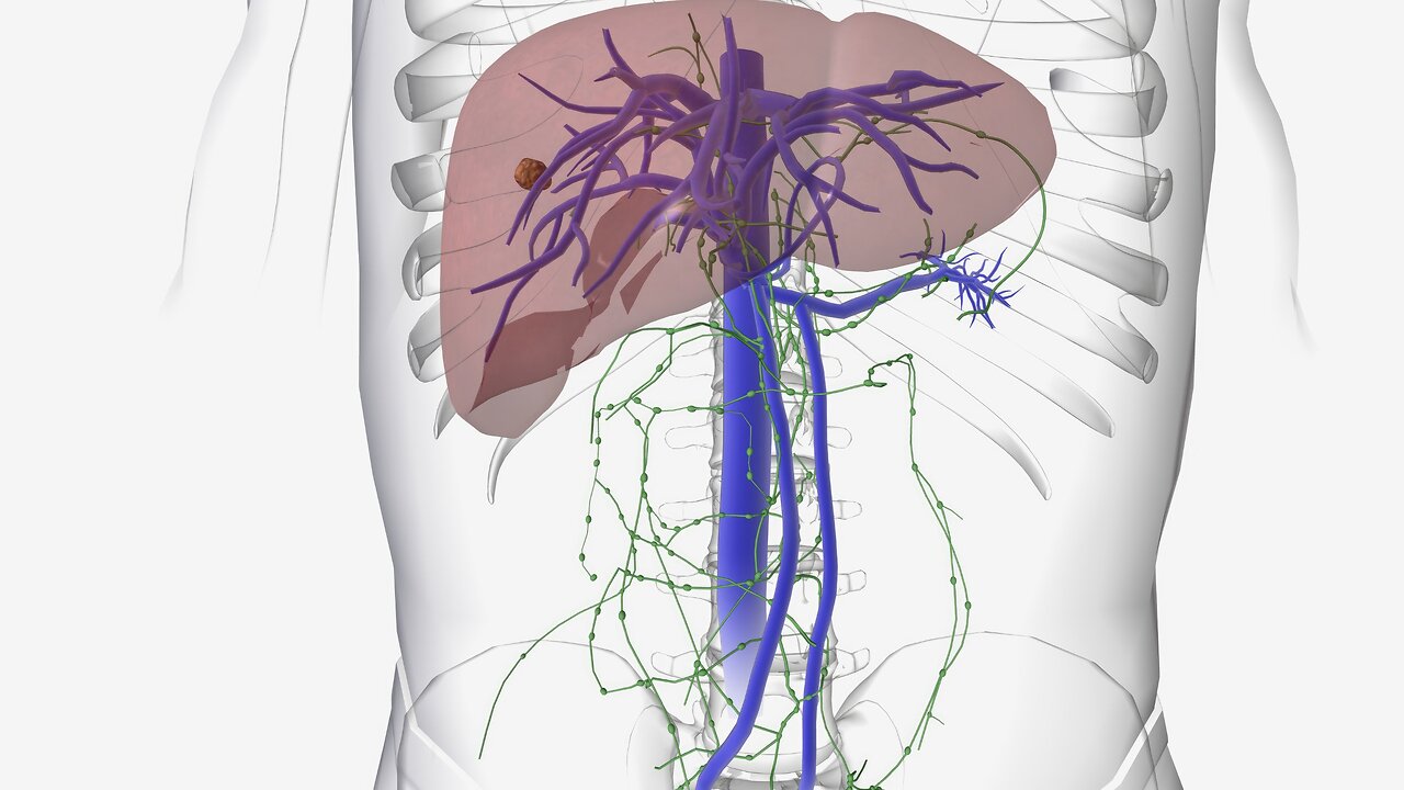 Scientists Discover A Hidden Root Cause Of Stubborn Belly Fat, And It Will Surprise You…