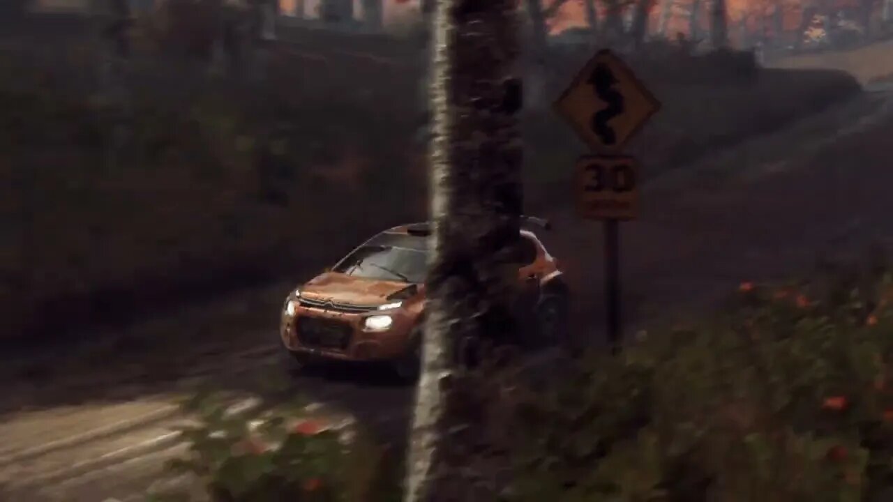 DiRT Rally 2 - Replay - Citroen C3 at Hancock Creek Burst