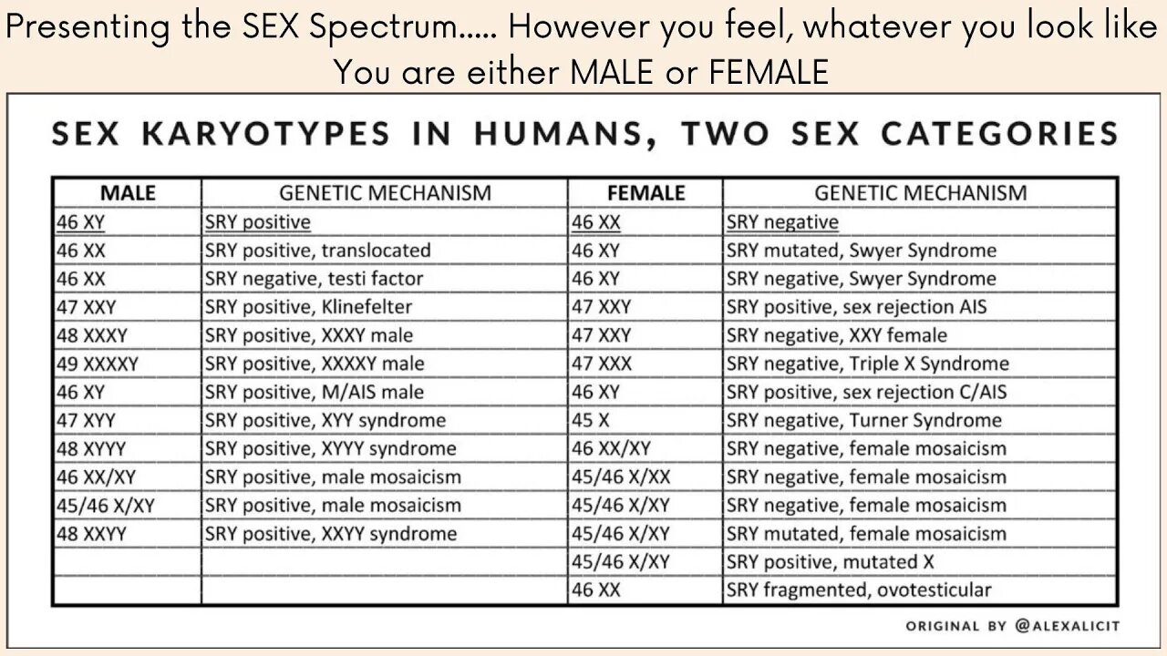 Presenting the XY XX Sex Spectrum