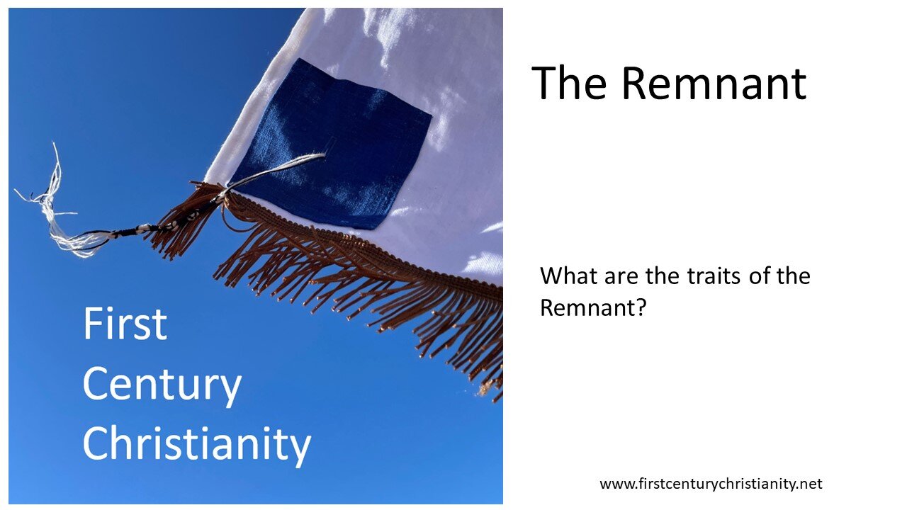 The Remnant