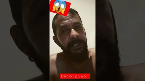 Escorpião em casa - mas não é horóscopo