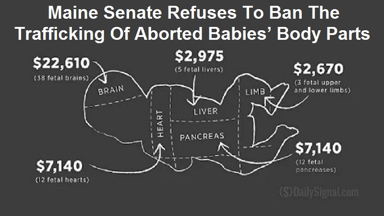 Maine Senate Refuses To Ban The Trafficking Of Aborted Babies’ Body Parts by The David Knight Show