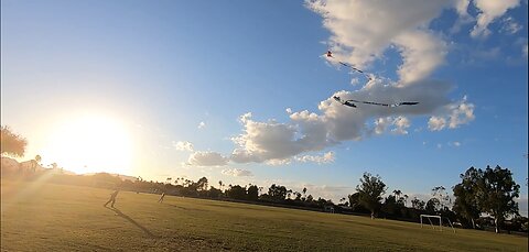 Dragon Kites