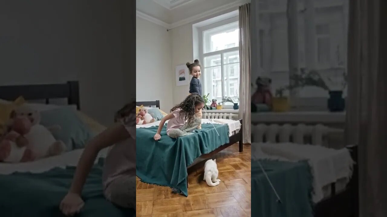 Animals 0007 See the description