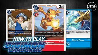 How to Play the Digimon Trading Card Game - Digimon TCG