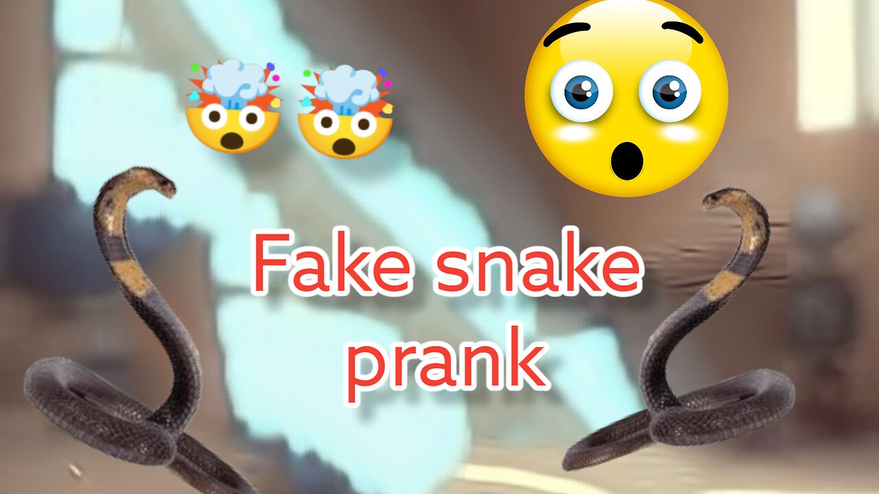 Fake snake prank!!