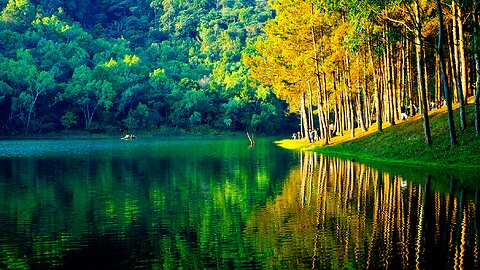 Soothing Meditation Music