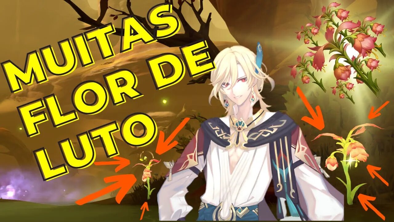 Rota COMPLETA de Flor de Luto | Sumeru - Genshin Impact