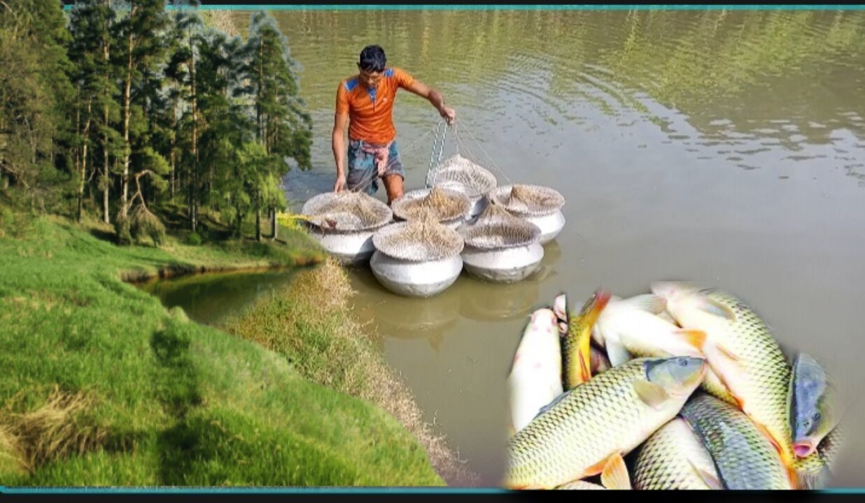 বড় জালে মাছ ধরা | Amazing fishing | Allrounder Jibon