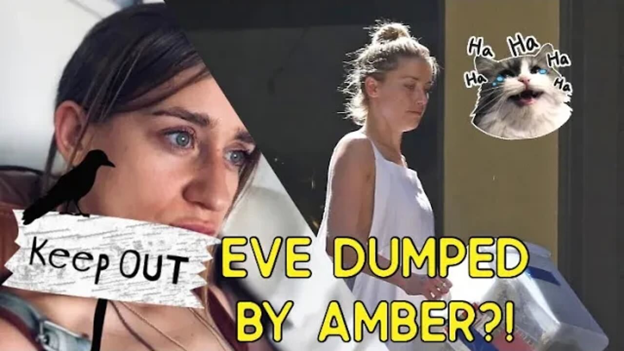 Did Amber Heard dump Eve Barlow? 🦋Celebrity Tarot Reading