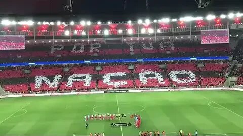 Mosaico da torcida do Flamengo contra o Vélez Sarsfield