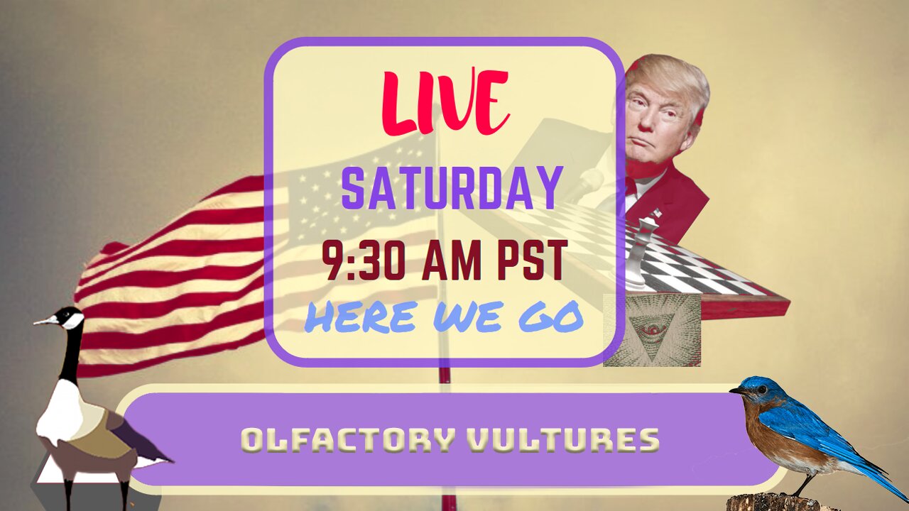 Saturday *LIVE* Olfactory Vultures Edition