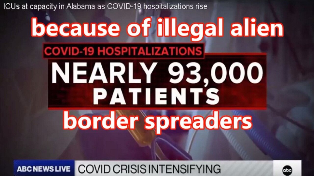 illegal alien COVID border spreaders