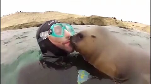 Sea Lion - "Kiss Me"