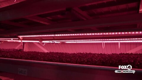 Bomb shelter turned underground farm