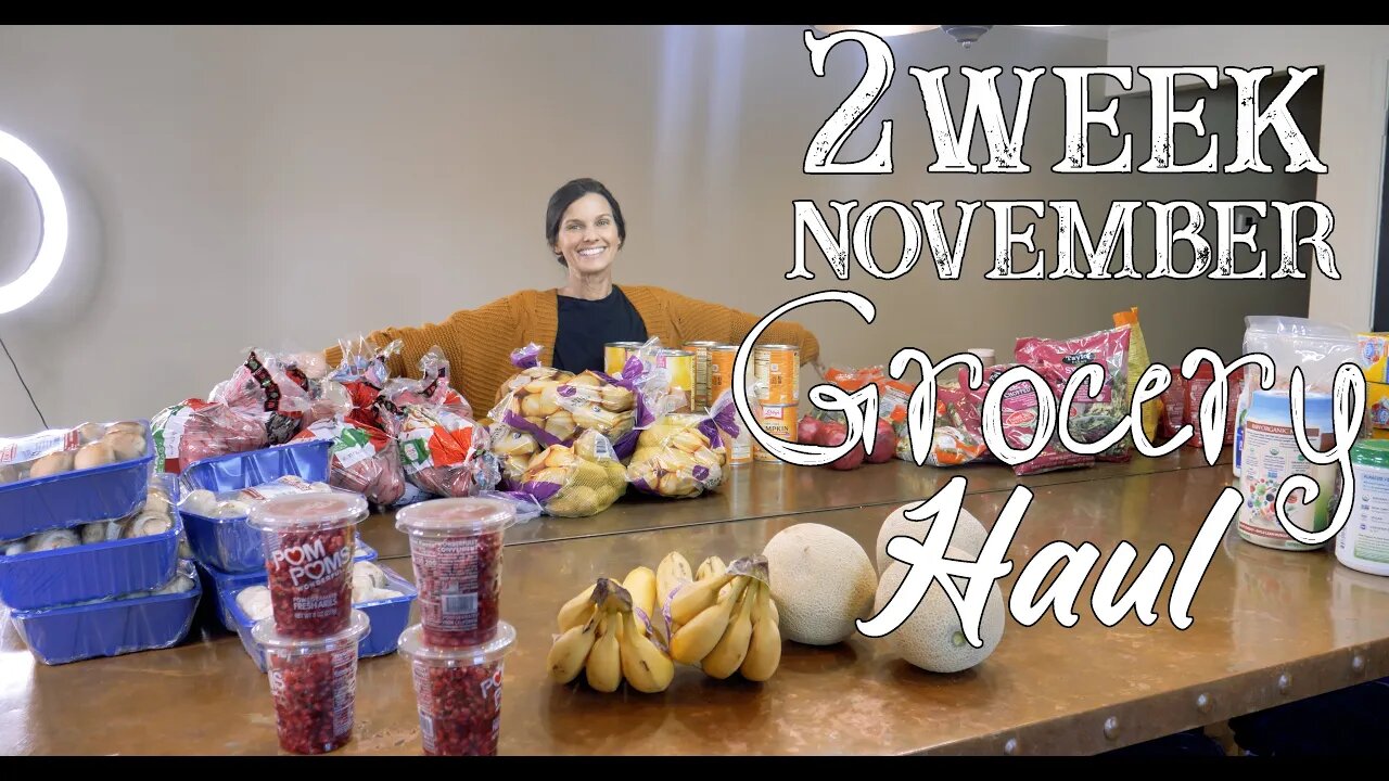 2 Week November Grocery Haul