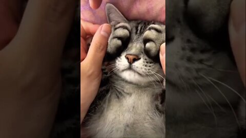 🙈🙉🙊 get this viral | #shorts | #viral | #funny