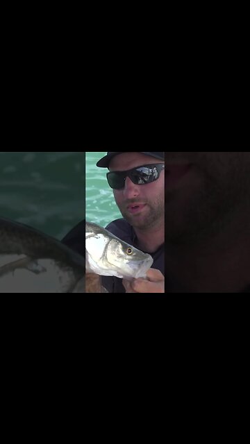 Florida Keys backcountry action