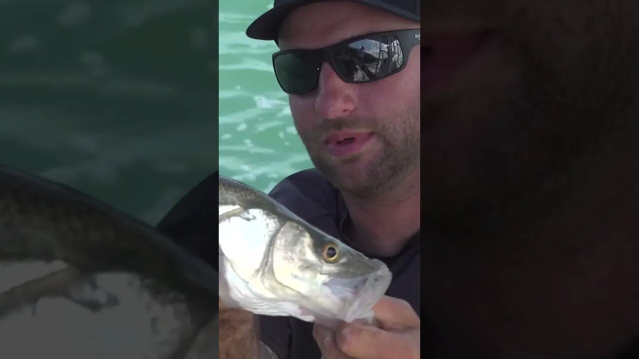 Florida Keys backcountry action