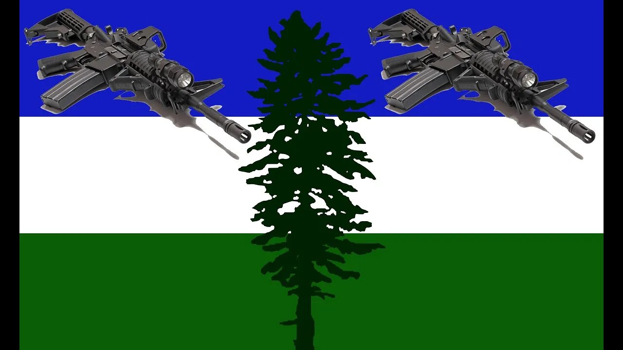 Gun Sales Skyrocket in the Great Northwest - LIVE CALL-IN SHOW