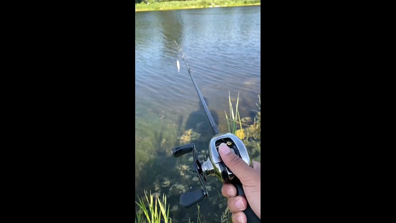 fishing 🦦🦦🦦