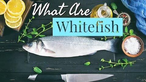 What is Whitefish? ~ History ~ Cooking ~ The Types and Much MORE