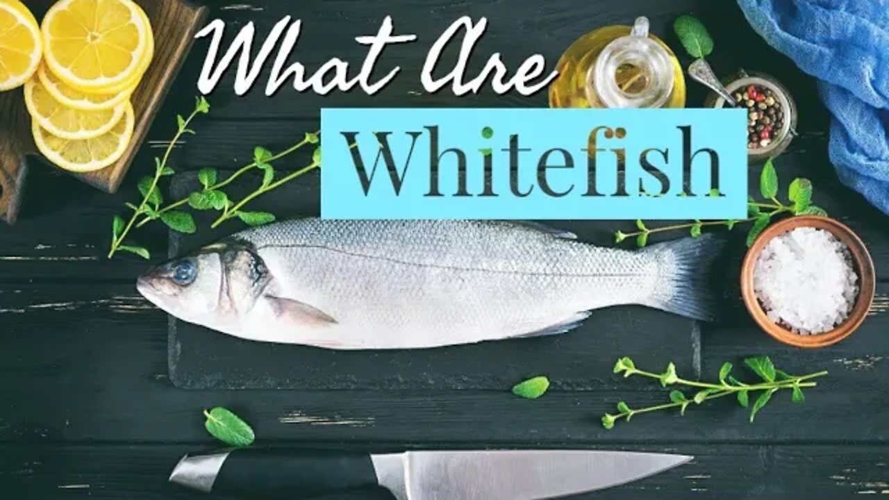 What is Whitefish? ~ History ~ Cooking ~ The Types and Much MORE