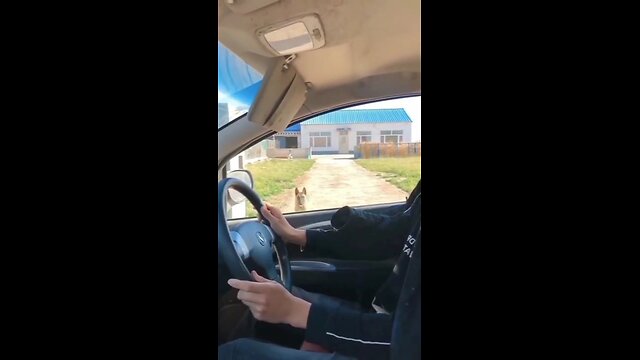 Try not to laugh🤣 Funny animals😹‖ #shorts #funnyvideos