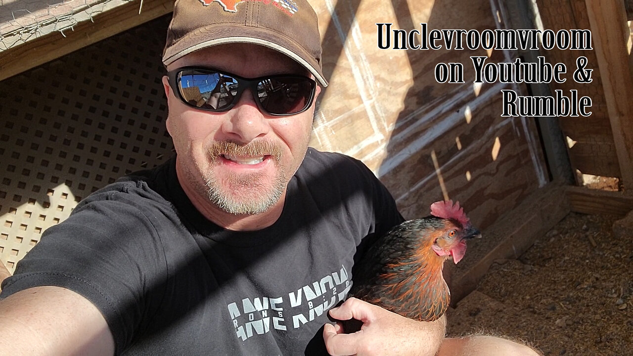 Test Your Chickens For Bird Flu At Home For Free! #birdflu #funny