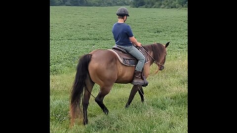 Oliver learning to ride a horse 5 Aug 2023