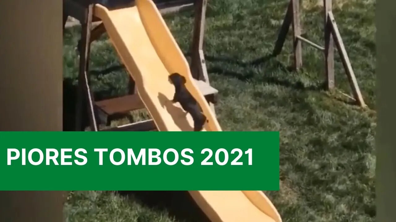 Piores tombos 2021 - Videos Story Engraçados