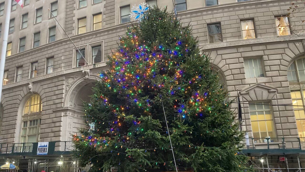 Bowling Green Tree (Manhattan)