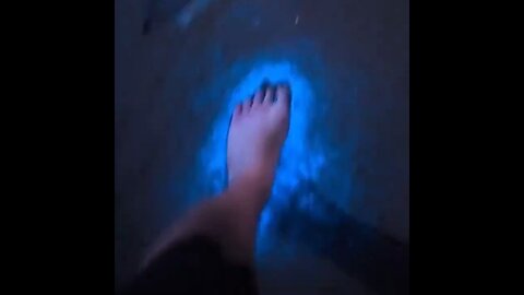 Bioluminescence Washes Up In The Ocean, Lighting Up The Water Florescent Blue In California