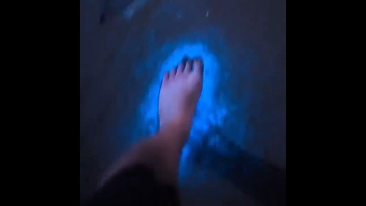 Bioluminescence Washes Up In The Ocean, Lighting Up The Water Florescent Blue In California