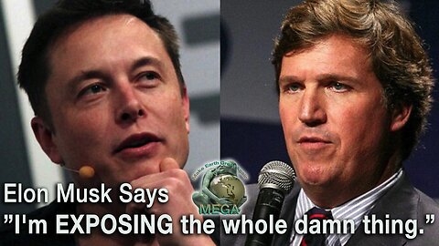 Elon Musk Says "I'm EXPOSING the whole damn thing."